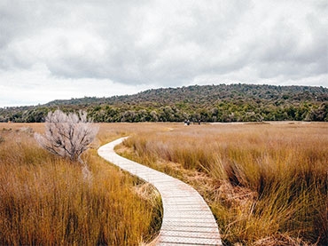 Tautuku Estuary Board Walk